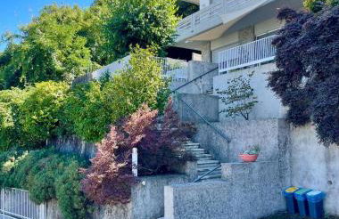 plumbago blue - Foto 8