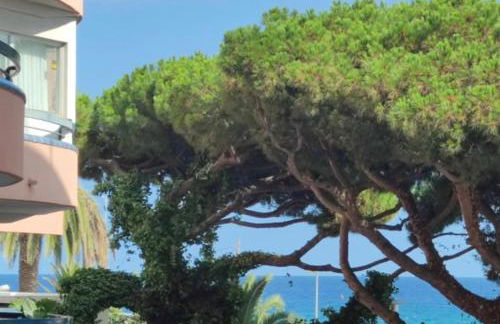 Apartamento Ridaura - Foto 1