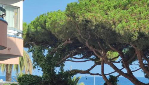 Apartamento Ridaura - Foto 1