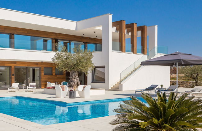 Old Olive VIII - Foto 16