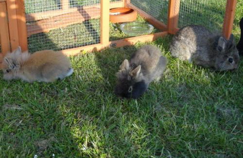 Elegantes Landhaus in Bastorf nahe dem Meer - Foto 19
