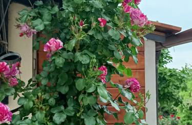 Colle Perazzoni - Foto 2