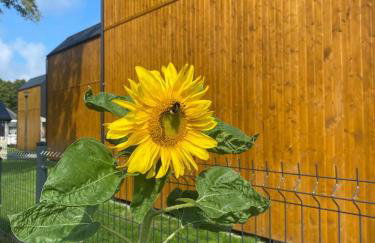 Zielonka Relaks - Foto 9