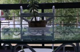 Apartamentos Los Robles - Foto 8