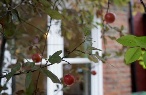 Luxury London house sleeps 13, 2 minutes to metro - Foto 25