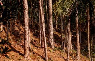 Casas Serranas - Villa Casa Blanca - Photo 28