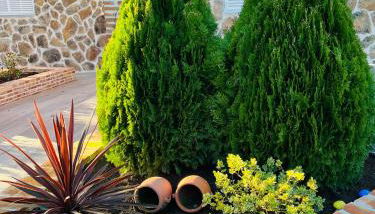 La Encina, casa tranquila con excelentes vistas - Foto 5, Garden