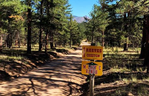 Cabin in Colorado NTL Forest - Foto 13