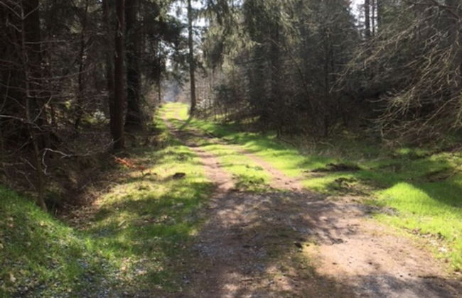 Ferienwohnung Tante Lise - Foto 19