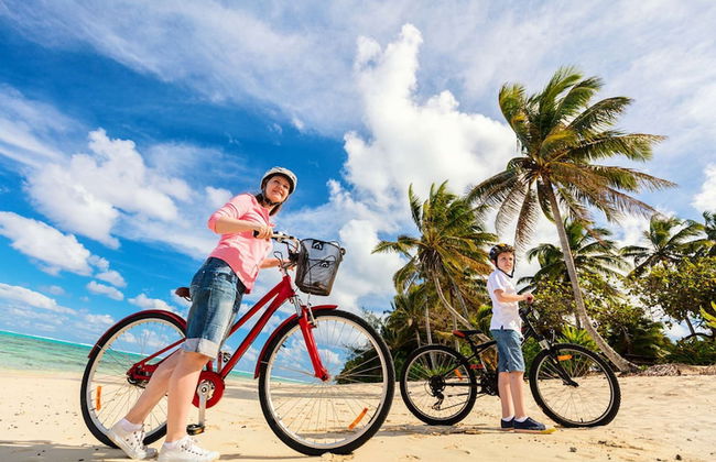 Driftwood Beach Oasis - Foto 46