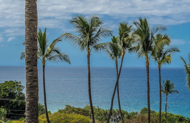 Kihei Akahi by Maui Rental Group - Photo 23