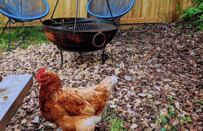 Narrowboat With Hot Tub, Spa, Cruising And More - Photo 25