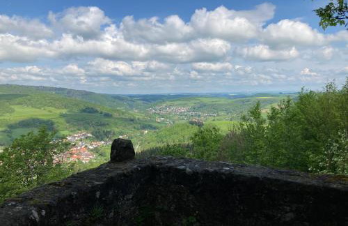 tiny house Pfalz Wellness und Wanderurlaub - Foto 41