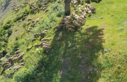 Appartement Edelweiss Chamrousse vue sur Recoin La Croix de Chamrousse Grenoble - Foto 21