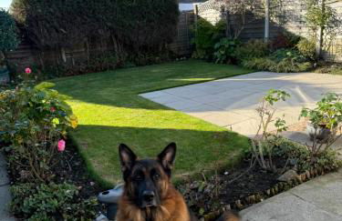 Linden Ave Bungalow - Foto 22