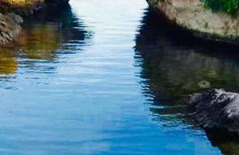 Villa Irene - Foto 26