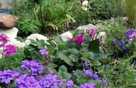 LA GARDE ADHEMAR, L'escalier Médiéval - Foto 1