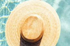 Logement La Belle Provence - Foto 3