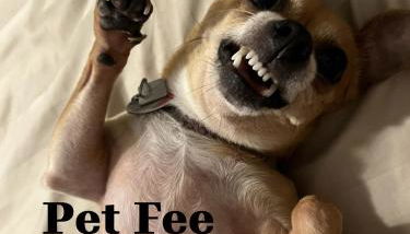 Perfecto Mundo 6, Orlando Area 4BR-2MB-3Bath Huge Pool, Ping Pong, Billiard, Disney Universal - Photo 5