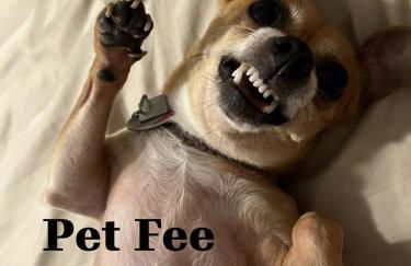 Perfecto Mundo 3, Orlando Area 5BR-2BA-Outdoor Pool-Jacuzzi-Billiard - Foto 3