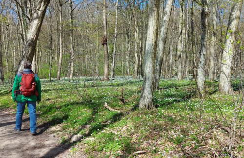 Ferienhaus an der Brunnenaue 4 Sterne, E-Ladestation am Haus, Wlan, Netflix, Garten - Foto 67