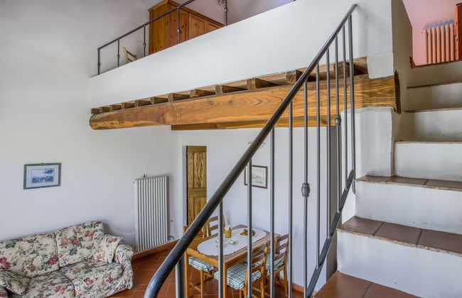 I Cipressi - Photo 10