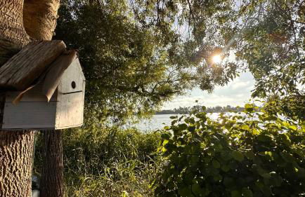 Casa do Areal, Refúgio das Rotas Pedestres em Mira - Foto 78