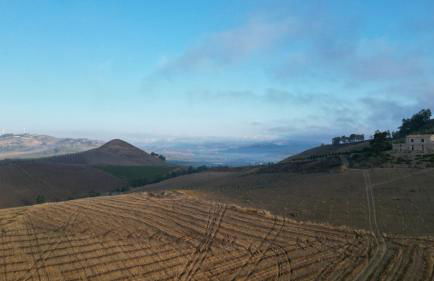 Masseria Baglio Perciata - Foto 68