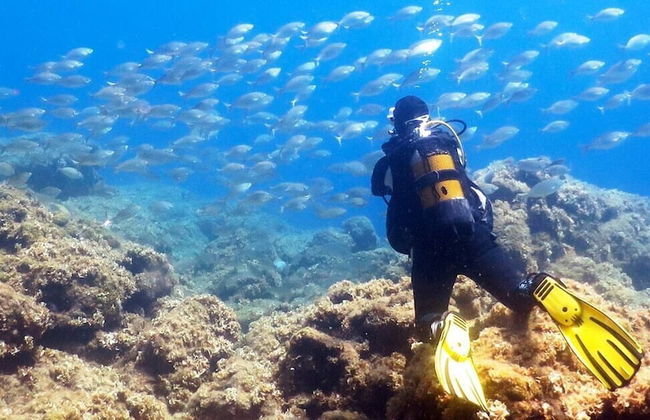 Terra Mia Affittacamere - Foto 34