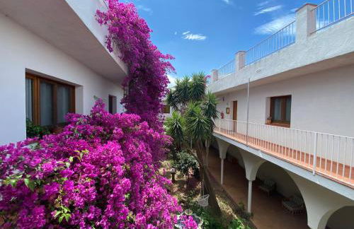 El Penell Estudi Mestral - Foto 17