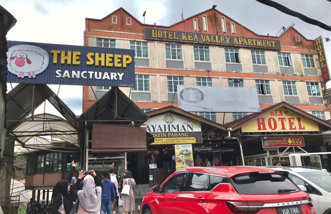 Palas Horizon Apartment - Foto 26