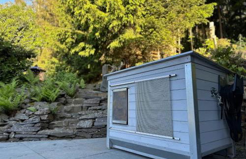 Stausee- WaldLoft - Foto 19