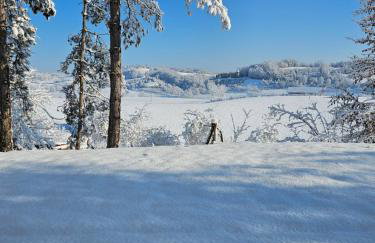 Kuća za odmor Šumska Vila - Foto 64