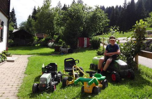 Ferienhof Beim Kemptar - Foto 8