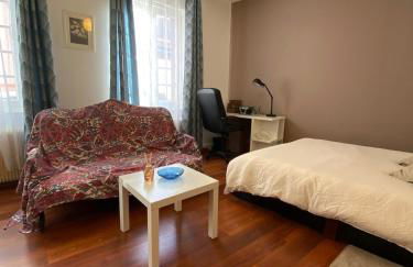 Studio miroir-arrivée autonome-animal ok - Photo 9