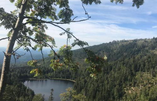 Ferienwohnung Eder - Foto 15