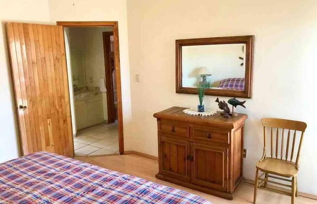 Tranqulidad y Seguridad en Avenida Principal - Foto 2