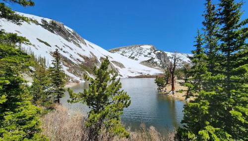 Historic Mining Manor in the Colorado Rockies - Foto 5