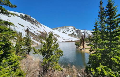 Historic Mining Manor in the Colorado Rockies - Foto 5