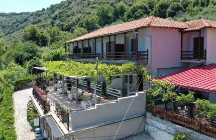 Ammos papanero - Foto 2