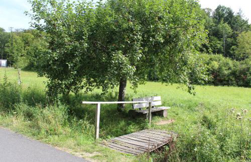 Ferienwohnung Forellenhof - Foto 29