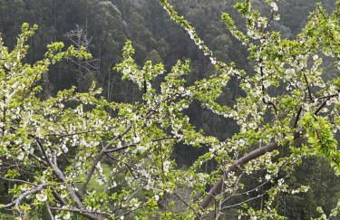 Villa Safari Charm - Photo 27