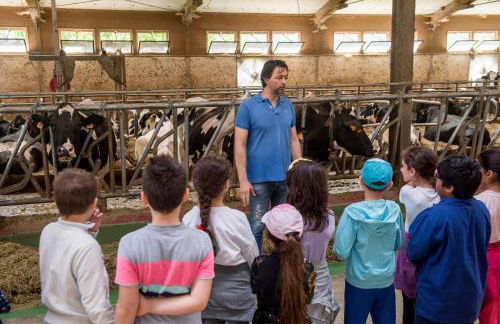 La Cartiera dei Benandanti - Foto 9