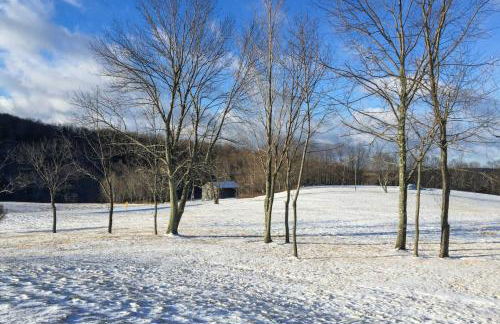 Private Dog-Friendly Home 3 Mi to Elk Mountain - Foto 34