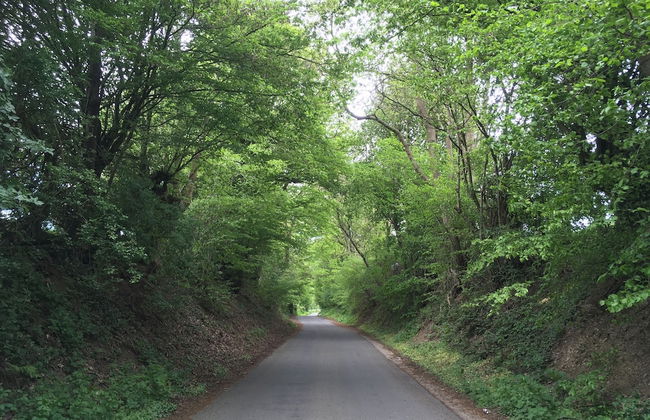 Country House Au Ballet des Hirondelles - Foto 47