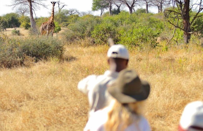 Ruaha Dream Villa - Foto 28