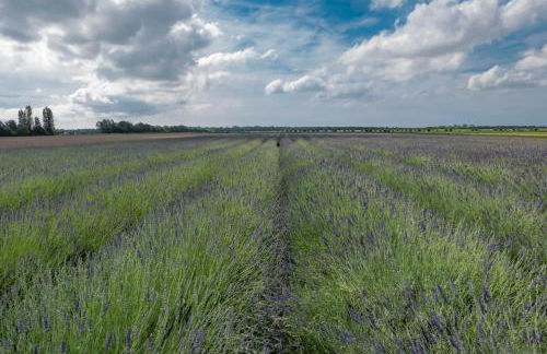 Appartamenti Nonna Rosa - Foto 38