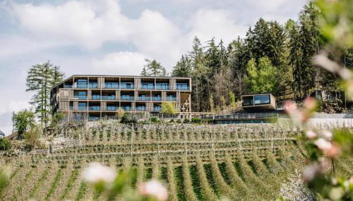 Panoramic Suites Winzerhöhe - Foto 4