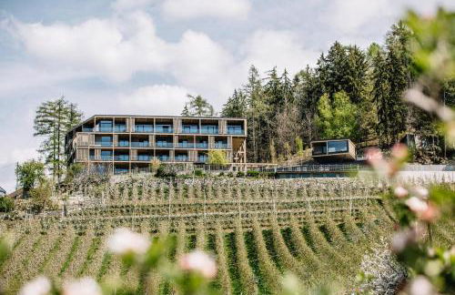 Panoramic Suites Winzerhöhe - Foto 4