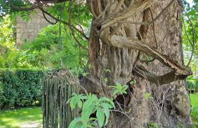 Orion Guest Villa Casais - Foto 70